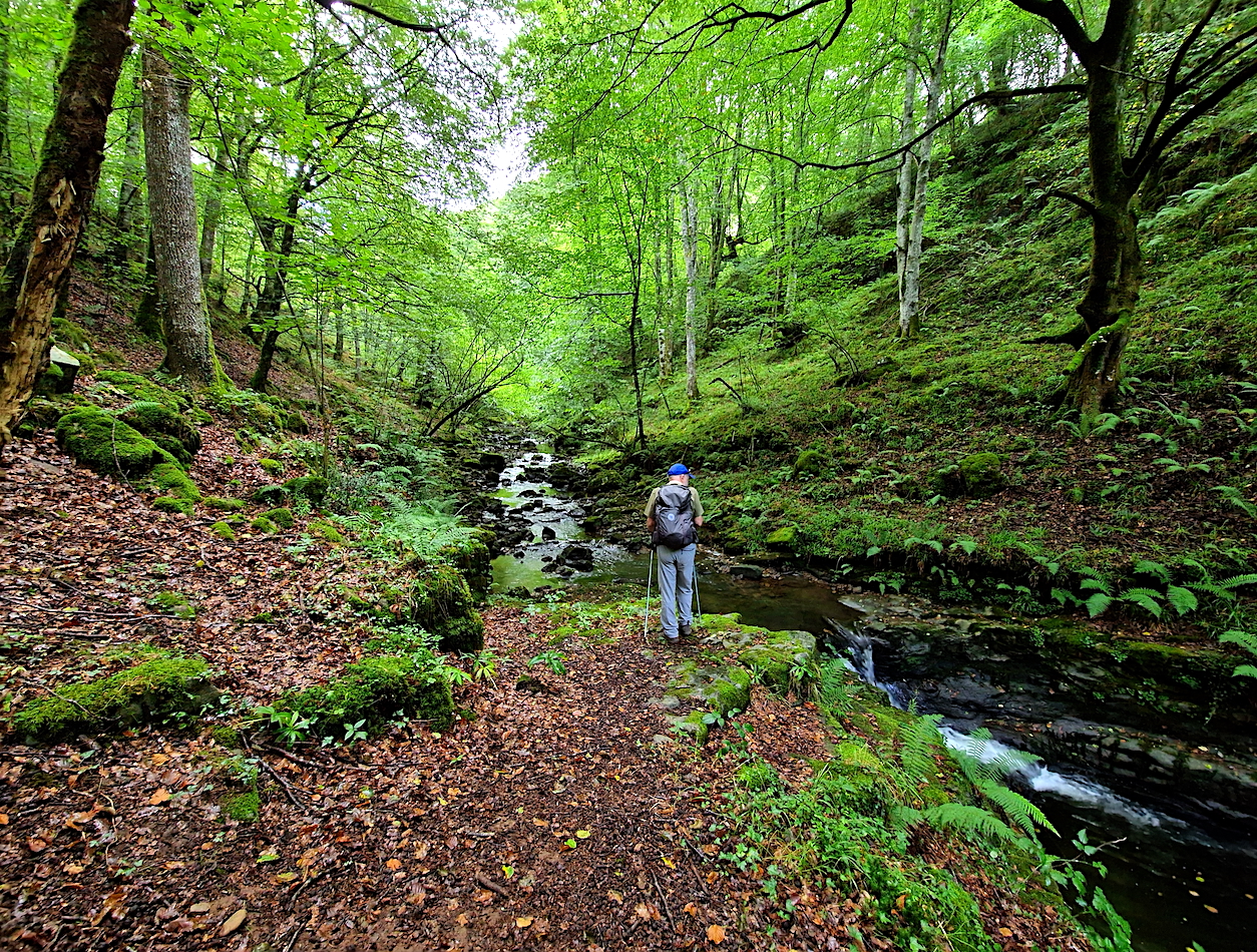 OTOÑO EN CANTABRIA